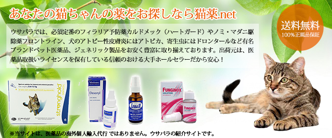 猫の薬を通販で格安購入するなら猫薬.net